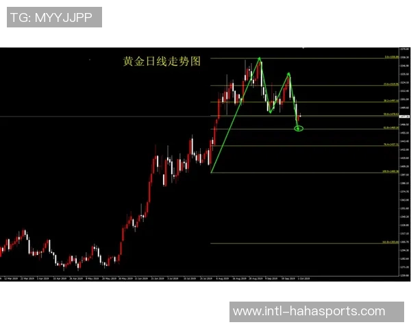 独家解析：杭州羽毛球队速度对比及其影响因素分析